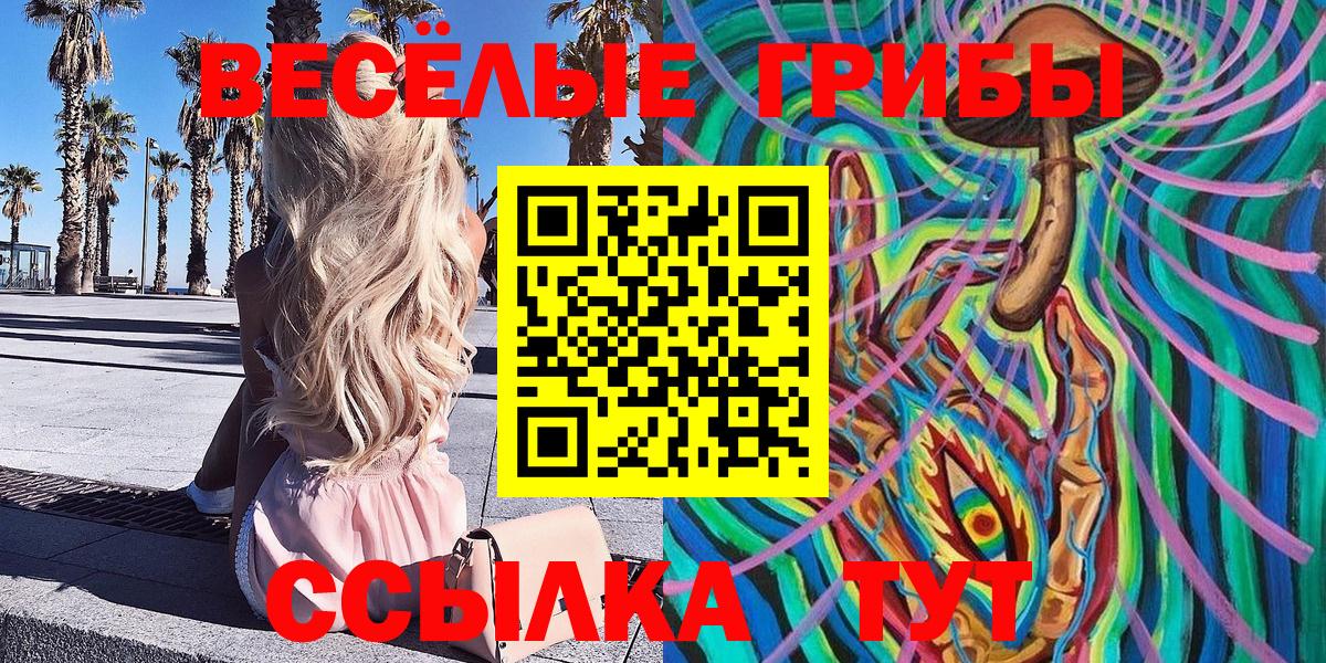 Галлюциногенные грибы Psilocybine cubensis Нефтеюганск
